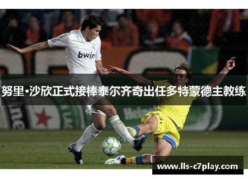 努里·沙欣正式接棒泰尔齐奇出任多特蒙德主教练